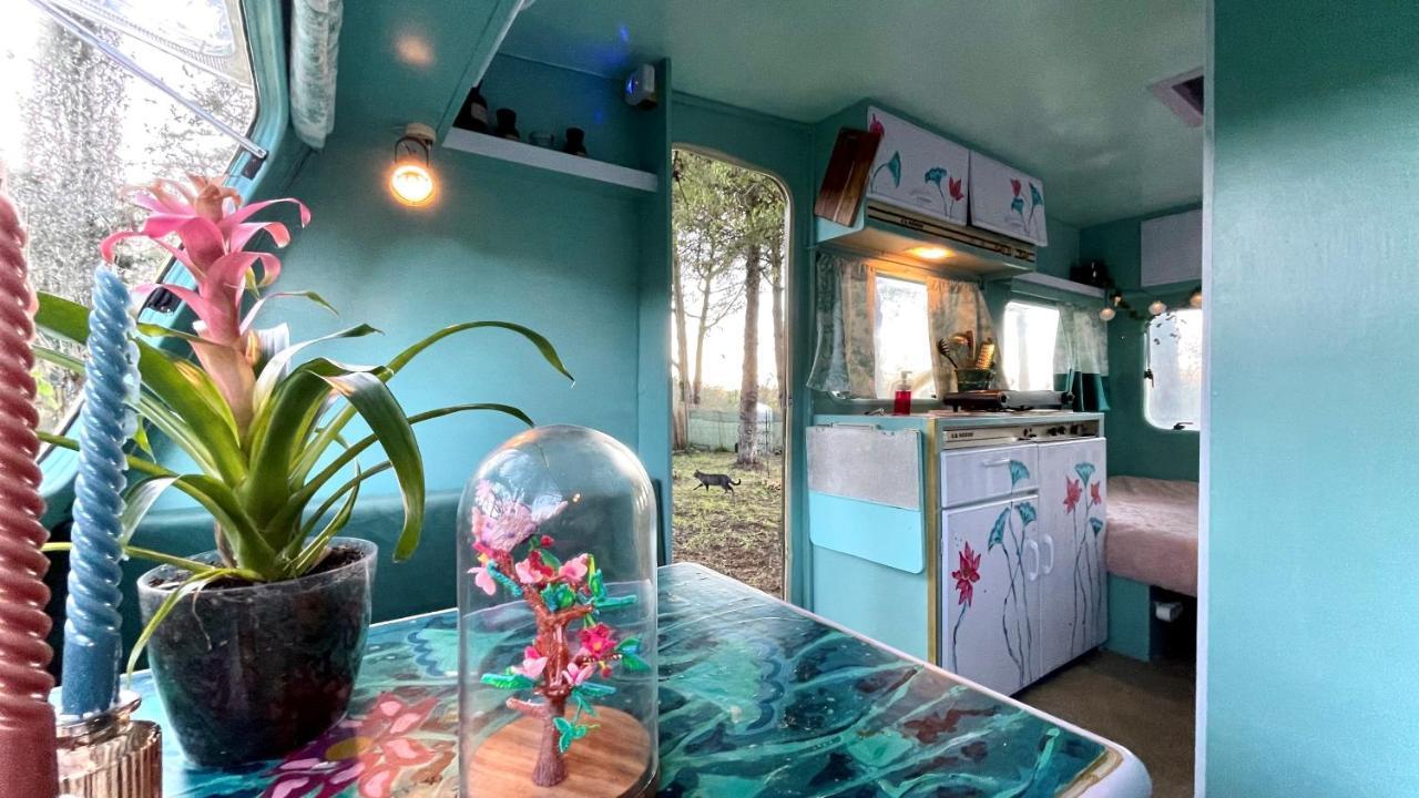 ホテル Ir Por Ai Arrabida アゼイタオン エクステリア 写真